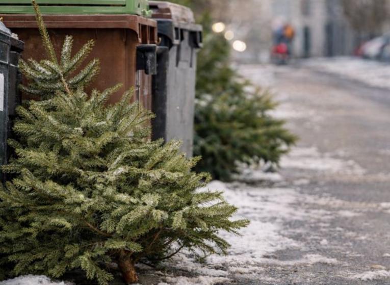 stromky likvidace 2026&nbsp;top